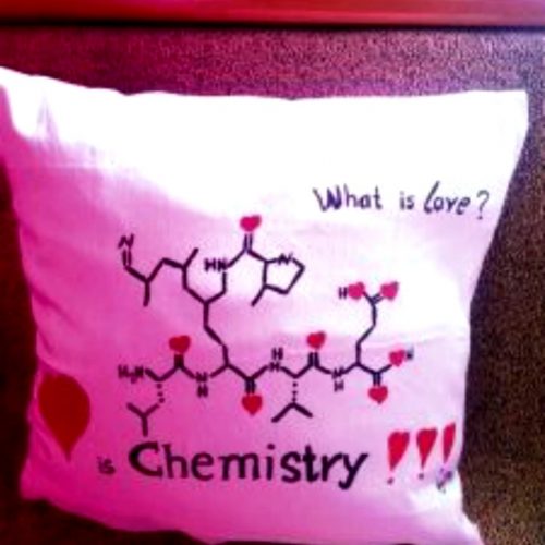 Μαξιλαράκι ζωγραφισμένο ,Love is Chemistry 45*45 CM